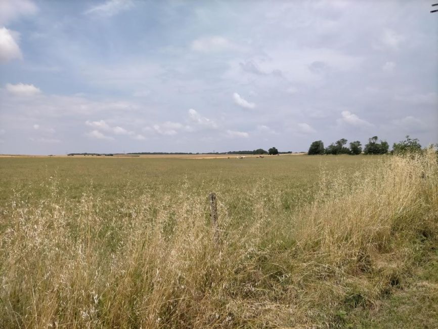 Vente terrain Tonnay-Charente Charente-Maritime