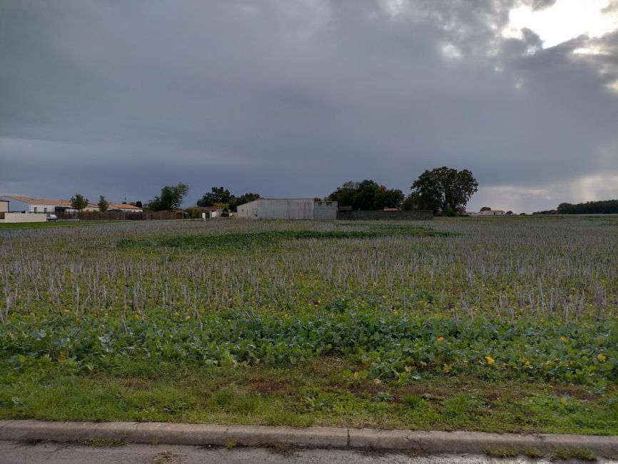 Vente terrain Saint-Just-Luzac Charente-Maritime