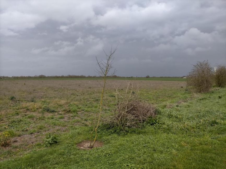 Vente terrain Moëze Charente-Maritime