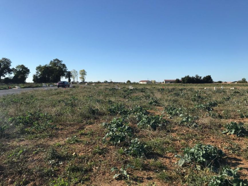 Vente terrain Moëze Charente-Maritime