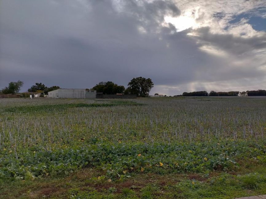 Vente terrain Saint-Nazaire-sur-Charente Charente-Maritime