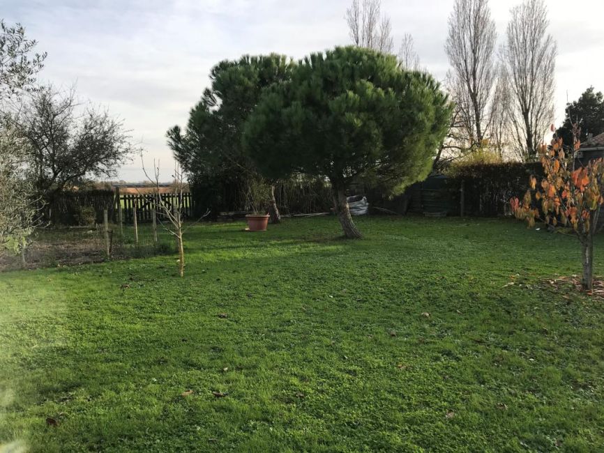 Vente terrain Saint-Froult Charente-Maritime