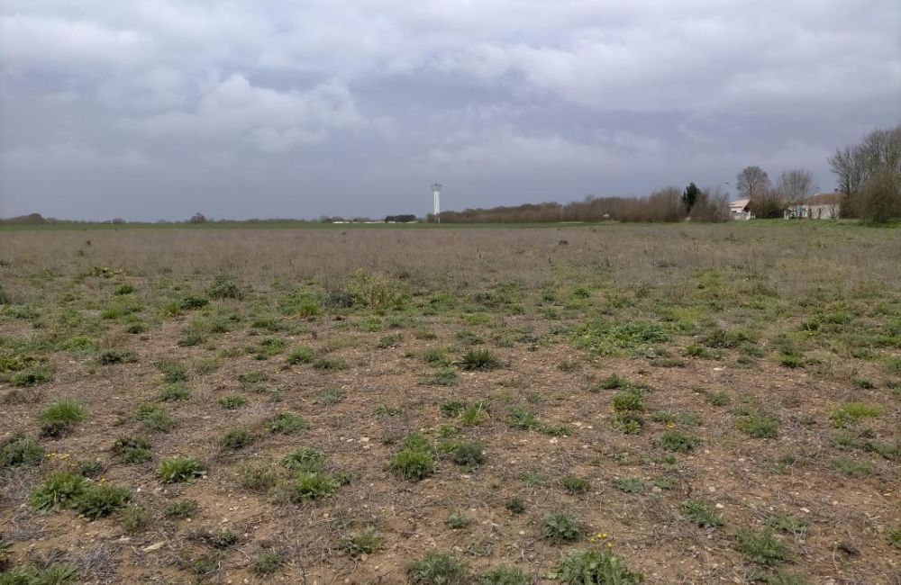 Vente terrain Saint-Nazaire-sur-Charente Charente-Maritime