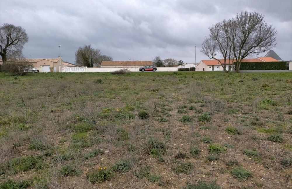 Vente terrain Saint-Nazaire-sur-Charente Charente-Maritime