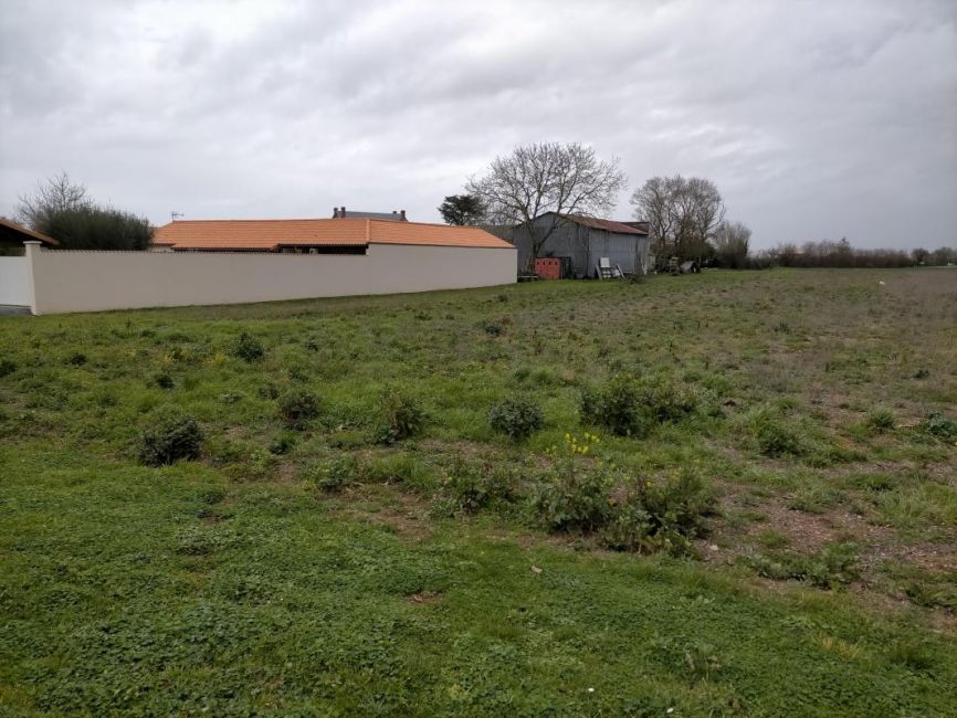 Vente terrain Saint-Just-Luzac Charente-Maritime