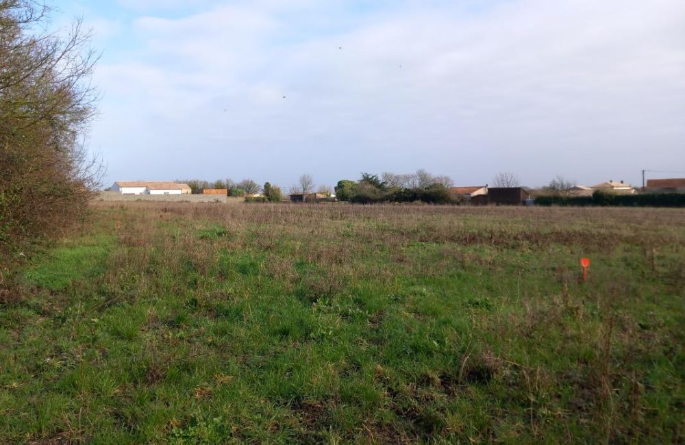 Vente terrain + maison ARDILLIERES Charente-Maritime